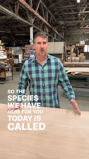 3.2K views · 3 comments | European Beech, also known as Steamed Beech...