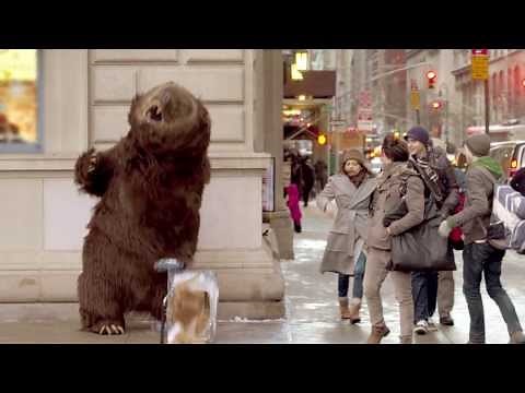 Hungry bear loose in NYC