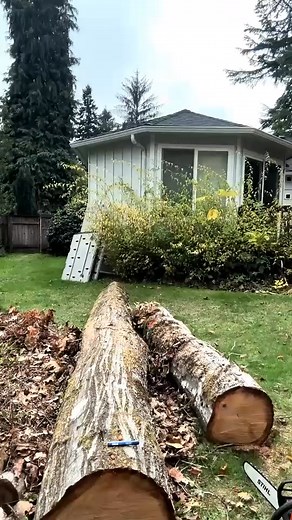 Joe the tree man. Simple log bench. | The Wood Man | Facebook