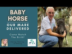 Miniature Horse Mare Gives Birth to Filly: Birthing Process