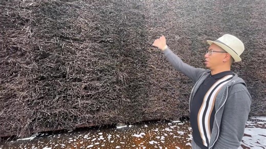 218K views · 5.9K reactions | Poland Vlog 2023 Our journey began in Vienna, from where we embarked on a 6-hour train ride to Krakow. We spent two days immersing ourselves in the sights and sounds of Krakow, fully exploring its rich culture and its FOOD. Our adventure culminated with a captivating visit to the Wieliczka Salt Mine. Enjoy 殺 | Shamcey Supsup | Facebook