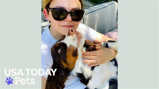 Ginnifer Goodwin asked AI to turn her dog into a human