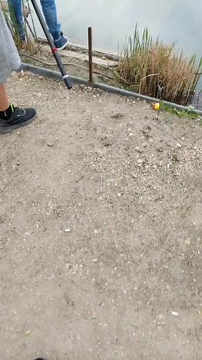 ❤️❤️Andi❤️Zsolt❤️❤️ a TikTokon