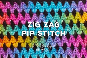 Crochet Zig Zag Pip Stitch Written Pattern — Hooked by Robin