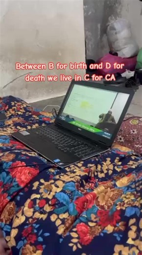 Understanding Life in California: A Creative Perspective