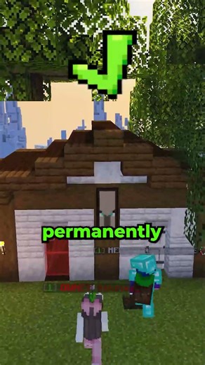 They will help you get STARTED #minecraftserver #smp #yummymc