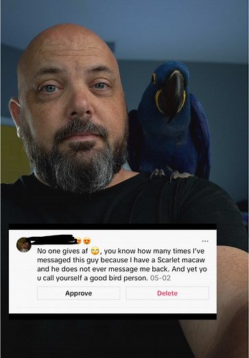 Caring for Pet Parrots: Essential Tips and Tricks