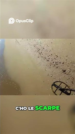 hidden treasures! Find riches with the metal detector Mars Veles