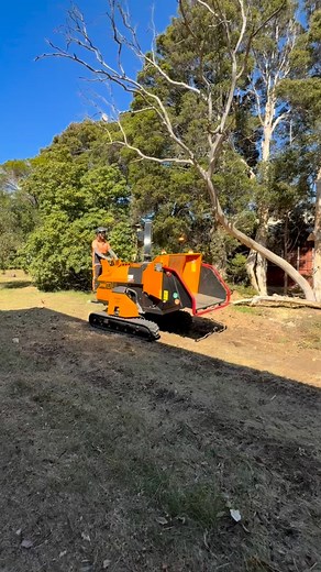 Super Mushroom Chipper #supermario #woodchipper | Hillside Tree Care