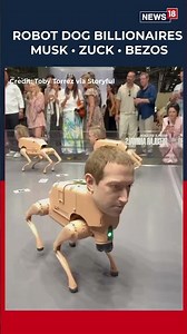 Bizarre Art Installation Depicting Musk, Zuckerberg And Bezos As Robot Dogs Goes Viral | N18S