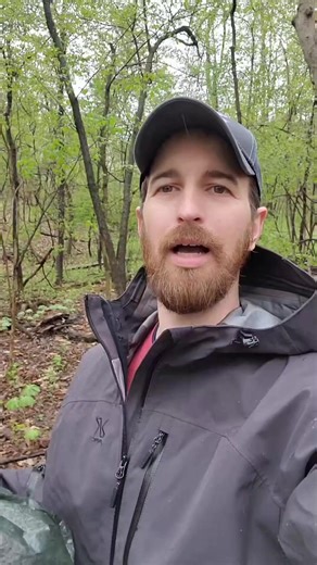 Building a tarp tent ⛺️ #camping #survival #bushcraft #campinglife #outdoors #tent #tarp #shelter #tarpshelter | Bushcraft Life