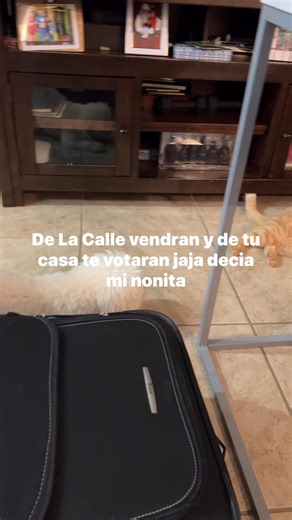 Lizzy Nicholson on Reels