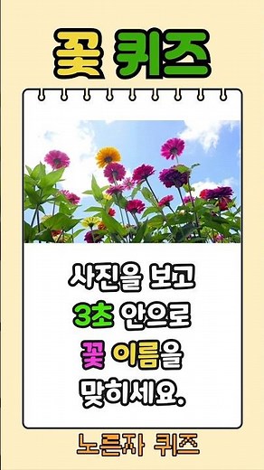 [Flower Quiz] Guess the Flower Names 🌷