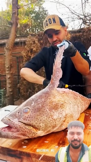 Southern special: Greasy Grouper Fish with rice recipe 🐠🦈🍚😋#shorts #fish #food #usa