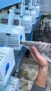 793K views · 1K reactions | The Secret to Perfect Box Assembly Revealed!. - The Secret To Perfect Box Assembly Revealed! #BoxAssembly #OrganizingHacks #DIY | Deep Dive News | Facebook