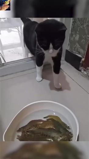 Find Your Lost Phone Instantly With a Simple Clap