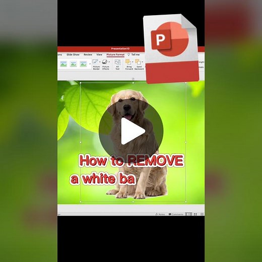 PowerPoint Tutorial: Remove White Background in 12 Seconds