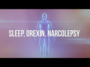 Narcolepsy – proteins like you’ve never seen them before