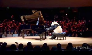 An amazing talent… a brilliant future " A moonlight pandata" 😍😍😍😍😜 (It's an Ai generated video of course, pandas don't play piano people! ) (Please share and like my posts to help to grow my page! Thank you! 🐼🙏🐼) #playingguitar #funnyanimals #care #beautiful #love #silly #funny #naturephotography #nature #panda #fluffy #pandas #cute #playingtoys #playing | Pandas, a Light In My Heart