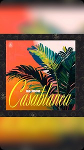 Hit on repeat! 🔁 😼🫵 New in our playlist # #followthecat #catmusic #music #release | Cat Music