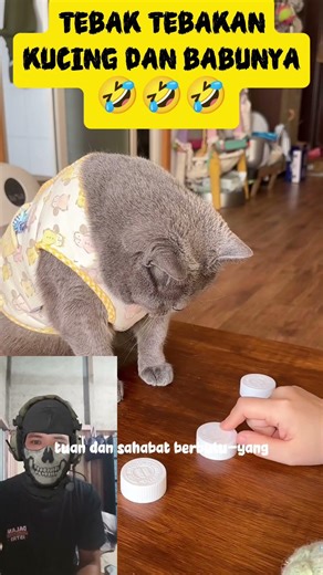 Kucing Pintar Bermain Tebak Makanan di Bawah Tutup Botol 🐱