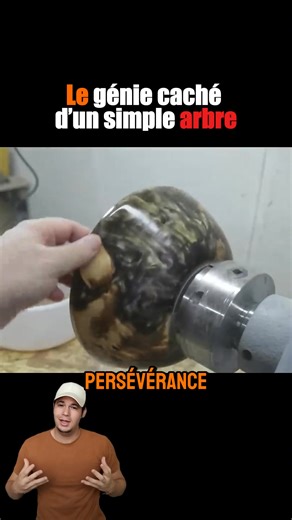 Le génie caché d’un simple arbre #ArtDuBois #Créativité #ChefDŒuvre #Transformation #Inspiration | Curiosités Express
