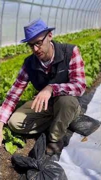 Drip irrigation math every farmer should know #shorts
