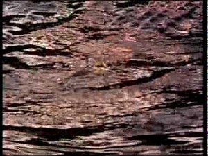 Earth System Science