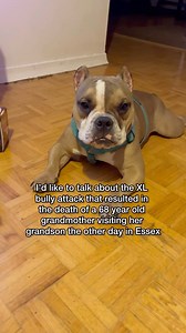 48K views · 140 reactions | So I already know that the dogs and the...