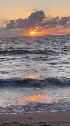 Oceanside sunrise in paradise Raquel Vera FOLLOW: Pompano Beach, Fl. Official LLC GROUPS • Pompano Beach, Fl • Palm Aire Residents Official • Palm Aire LGBTQ Community #audreyfesik #wayneoken #savepalmaire #savebriny #opengreenspaces #communitysupport #pompanobeach #sunrise #paradise #savepompano | Pompano Beach, Fl. Official
