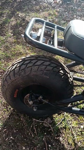 RT200 mini bike sounds good