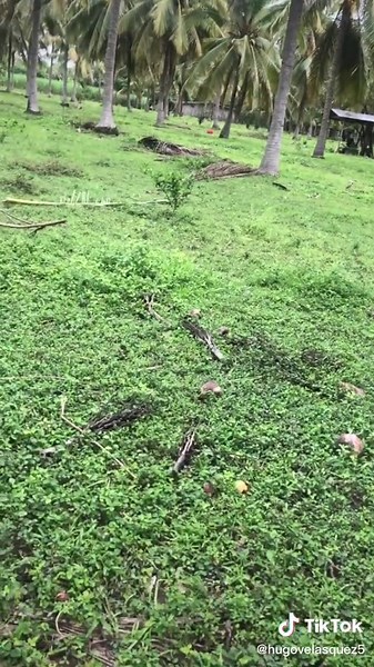 Hugo Velasquez (@hugovelasquez5)’s videos with sonido original - Hugo Velasquez