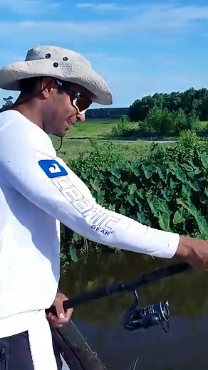 61K views · 896 reactions | How could I mistake an alligator for a big fish?  #reels #animals #fishing #alligator | Zak Catch Em | Facebook