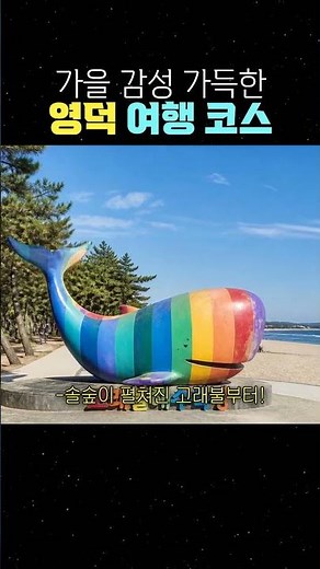 가을 감성 가득한 영덕 여행 코스 #영덕여행 #영덕가볼만한곳 #가을여행
