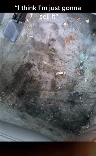  Before & After Magic!  Witness the incredible transformation of...