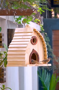 🌳✨ Transform your outdoor space with a stunning bird feeder crafted from solid wood! Not only does it provide a beautiful focal point for your garden, but it also invites our feathered friends to visit and thrive. Perfect for birdwatching enthusiasts and nature lovers alike, this DIY project is both rewarding and eco-friendly. Let’s bring nature closer to home! 🐦💚 #BirdFeeder #DIYProject #SolidWood #NatureLovers #Birdwatching #GardenDecor #EcoFriendly #HomeImprovement #OutdoorLiving #Craftsma