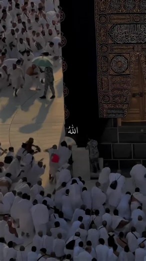 King Pjr (@king.pjr684)’s videos with original sound - King Pjr