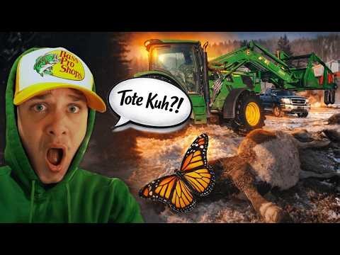 Tag im Leben eines Ranch hands in Canada 🇨🇦🐄