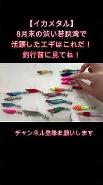 8月末若狭湾沖で釣れたスッテはこれだ！ #イカメタル #釣り #fishing #オモリグ#ケンサキイカ #日本海 #若狭湾