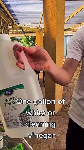 The best home made weed killer recipe! Recipe: 1 gallon of white or cleaning vinegar, 1 cup of salt, 1 tablespoon of dishwashing liquid. #homemade #homeimprovement #garden #homemaderemedies #ecofriendly #natural #weedkiller #naturalweedkiller #gardening #fyp #viral #abcxyz #fypシ
