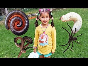 Zoe and Daddy Play Bug Hunt Outdoor With Real Bugs The Movie With Insects Worms Spiders