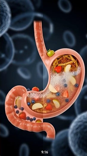 Fruit Before Meal vs After Meal | Digestion Explained in 3D