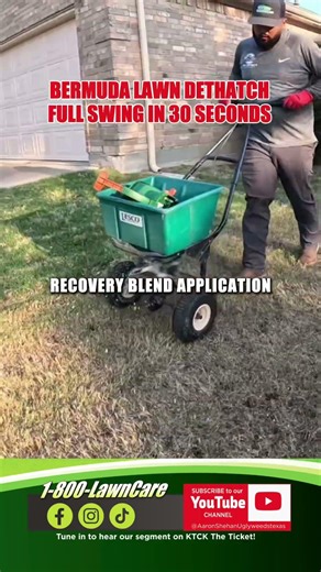 Full Spring Prep Bermuda Lawn Dethatch in 30 Seconds #shorts #grolawn