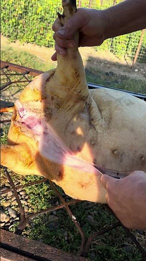 natural lard benefits for skin and hands #whowillbemylifepartnerta #helpmemakethismakesense