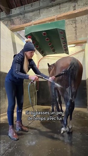 That's why he only has one eye 🐴