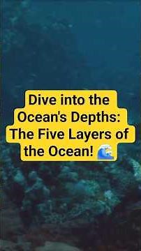 Dive into the Ocean's Depths: Five Layers of the Ocean! 🌊