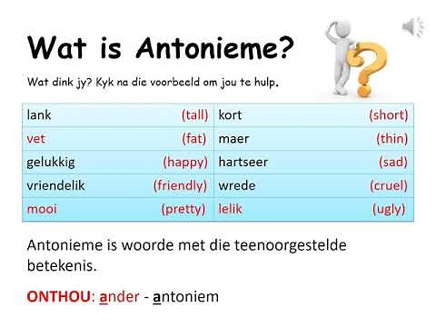 Afrikaans Grade 4 Sinonieme & Antonieme Mrs S Pakkoo