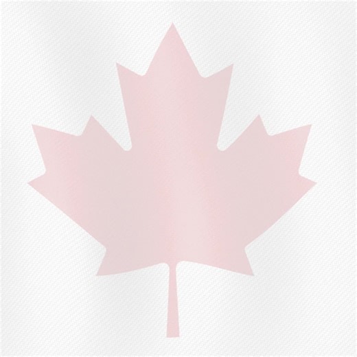 🇨🇦 Great news from IRCC! Visa refusals for Study, Work, and Visitor Permits will now come with officer decision notes! 💡 This new step adds much-needed transparency and gives students, applicants, and agents a clearer understanding of why a visa was refused. 🔁 It helps reduce guesswork and allows you to improve future applications with confidence. 👏 A big win for fairness and clarity! 📎 For more details, visit: canada.ca #IRCCUpdate #CanadianImmigration #ImmigrationNews #VisaRefusal #Canad