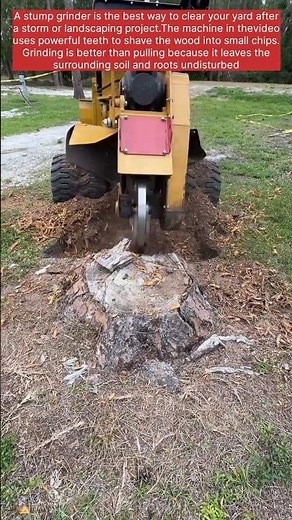 Heavy Machinery in Action: Stump Removal