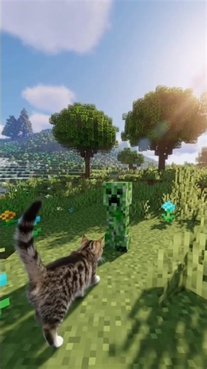 The Cat That Befriended a Creeper🐱💚